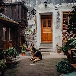 Krumlovska Pohadka 5*